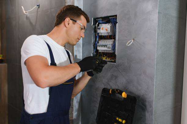 Best Electrical Repair Services  in Radisson, NY