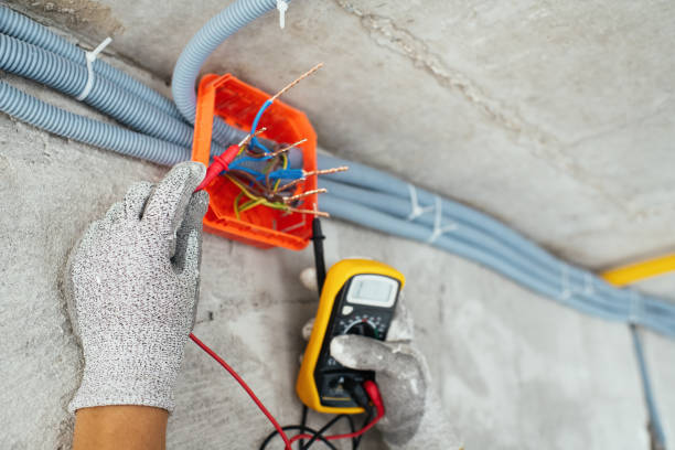 Best Electrical System Inspection  in Radisson, NY