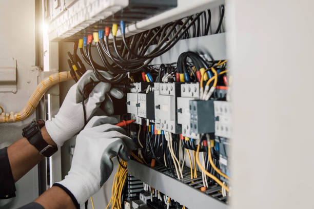 Best Electric Panel Repair  in Radisson, NY